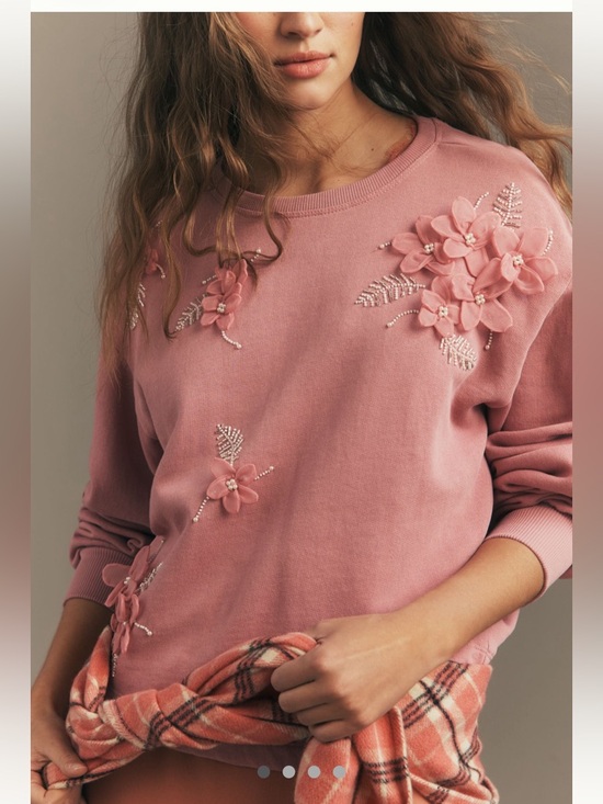 Anthropologie Tops - Anthropologie crew neck embellished sweatshirt